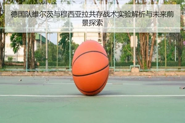 德国队维尔茨与穆西亚拉共存战术实验解析与未来前景探索