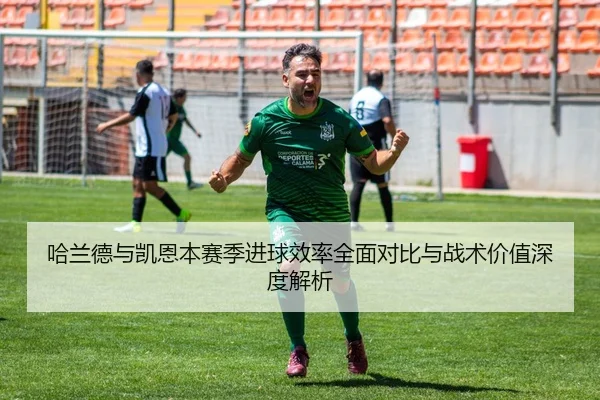 哈兰德与凯恩本赛季进球效率全面对比与战术价值深度解析