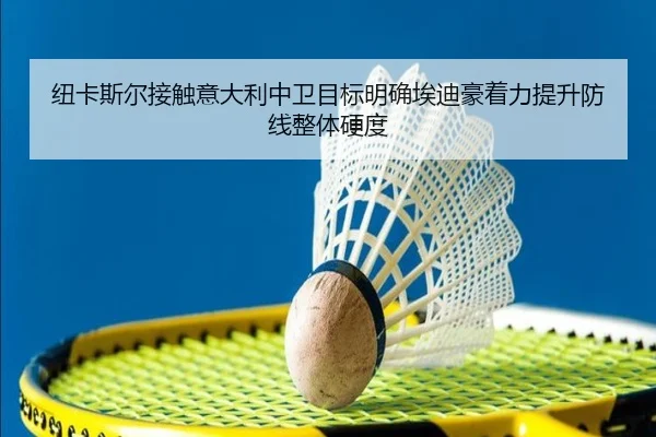 纽卡斯尔接触意大利中卫目标明确埃迪豪着力提升防线整体硬度